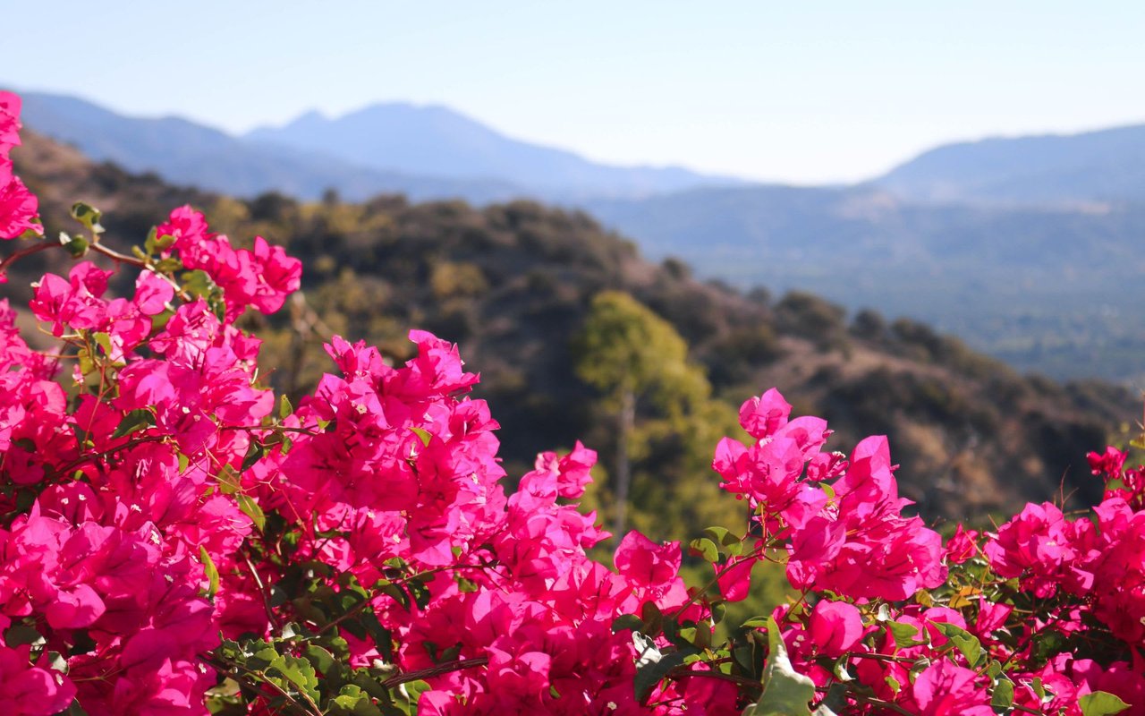 Areas Beyond Ojai