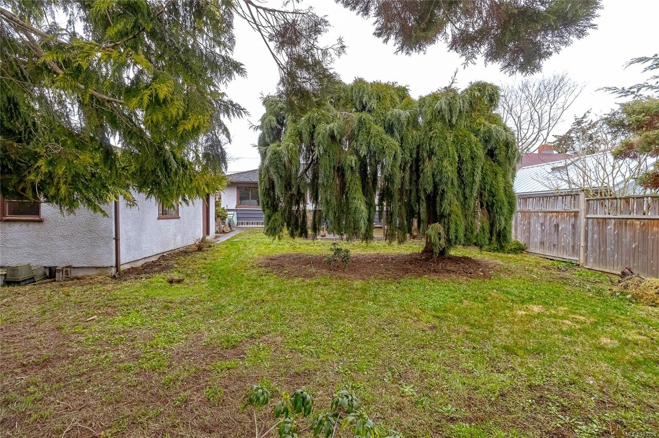 1867 Neil St, Saanich