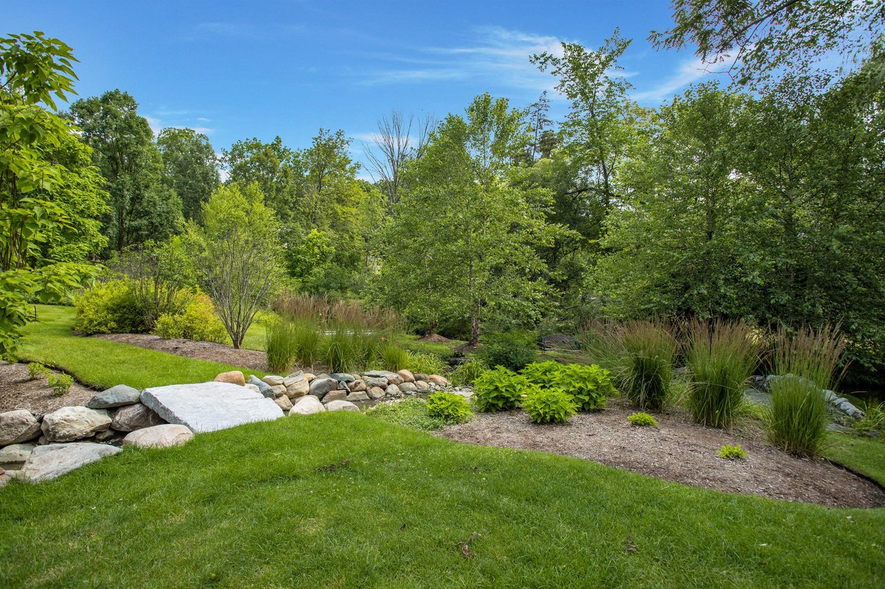 Pond Renovation