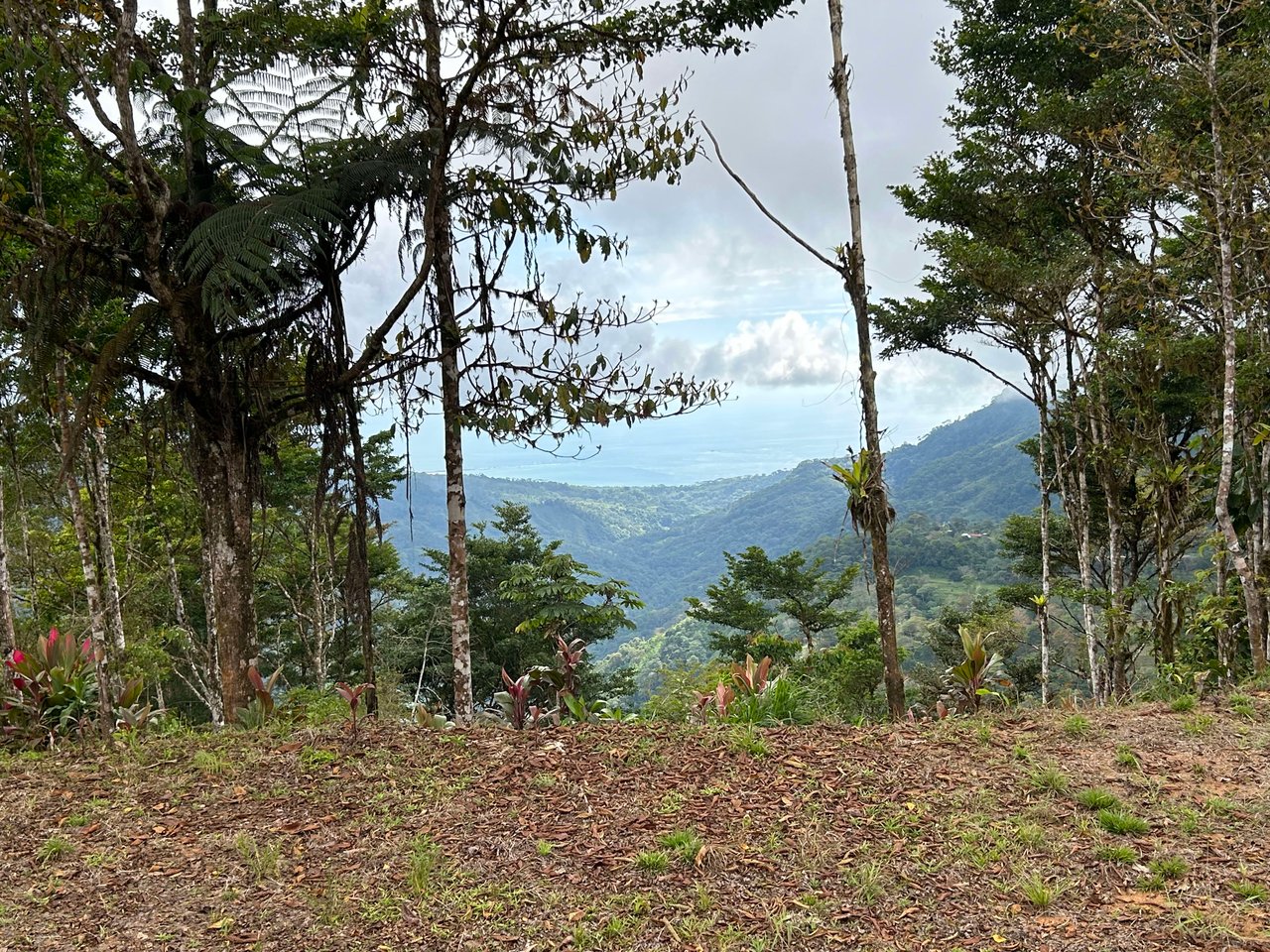 Whale Tail, Ocean & Mountain View lot in San Luis.