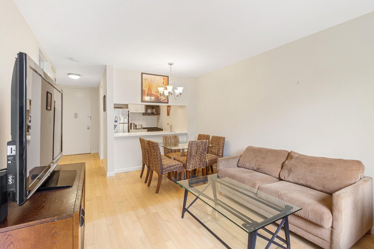 300 Albany Street, Apt 3-E