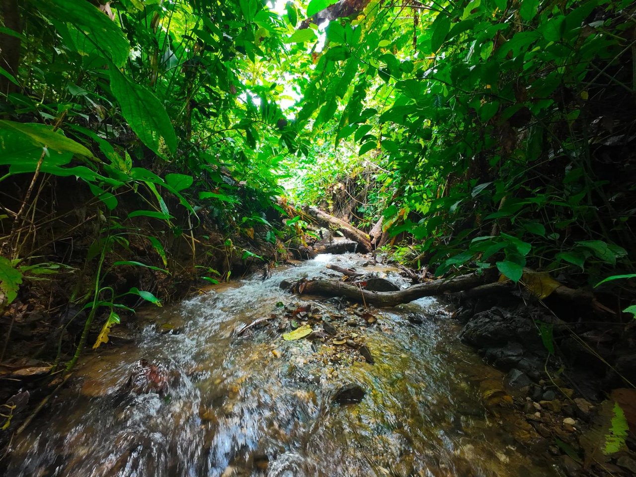 Private Ocean View Development Lot, Ojochal, Puntarenas