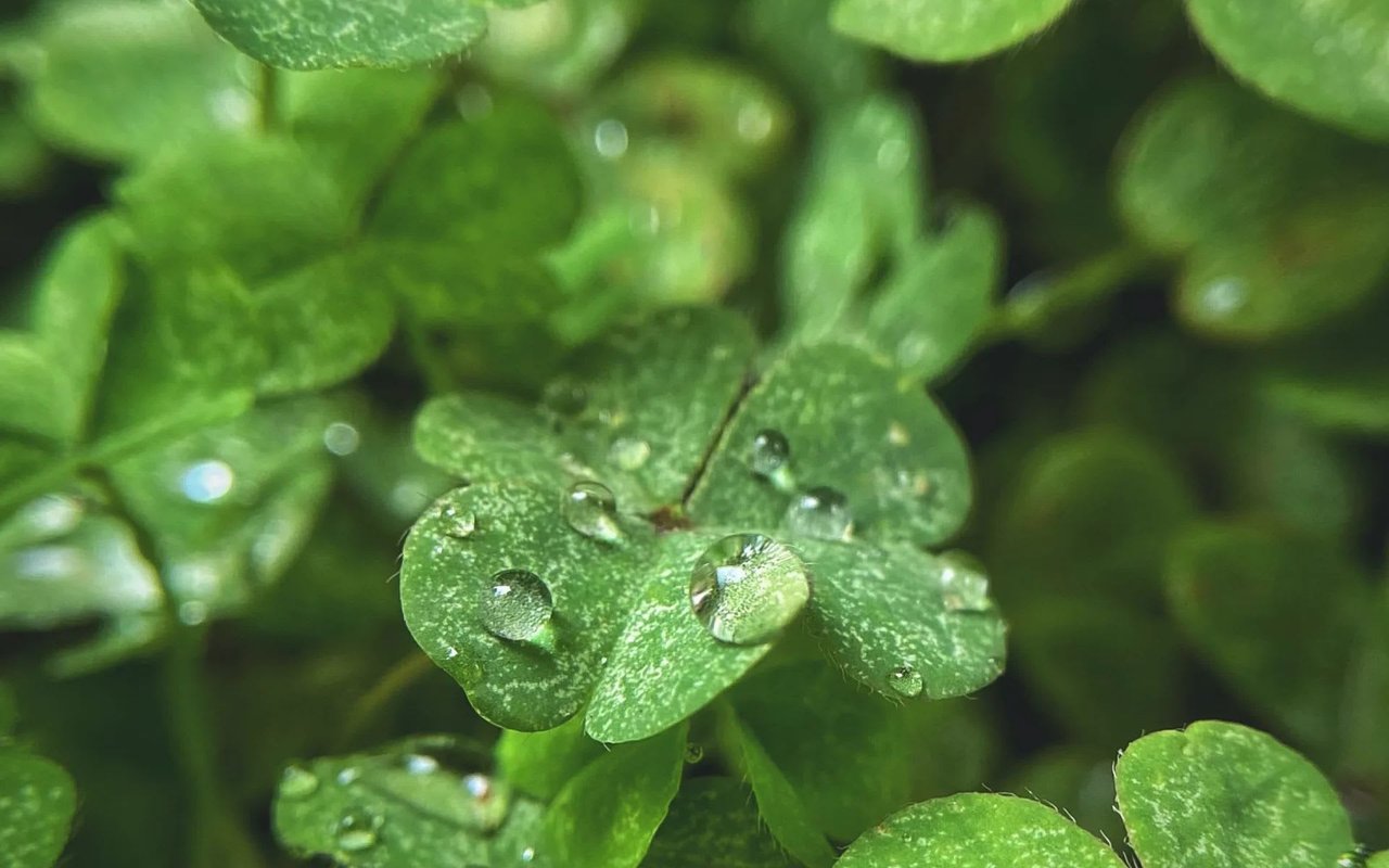 MARCH CALENDAR OF EVENTS