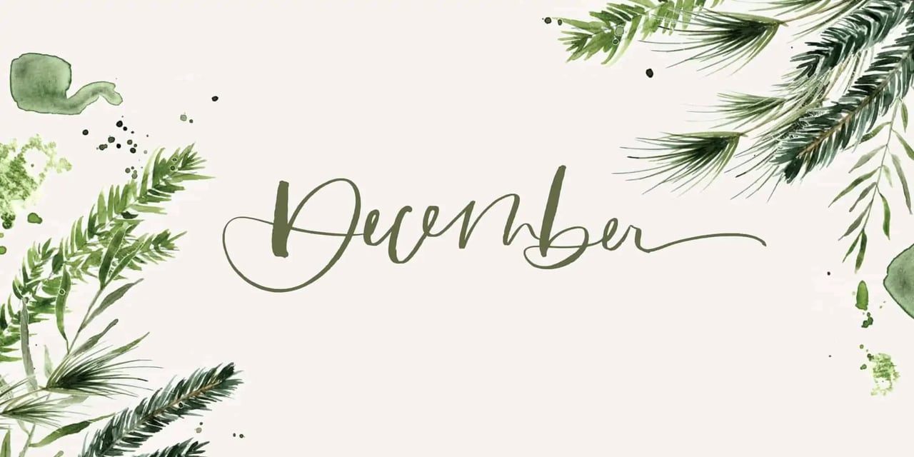 Mammoth Lakes Real Estate Market Update for DECEMBER 2021