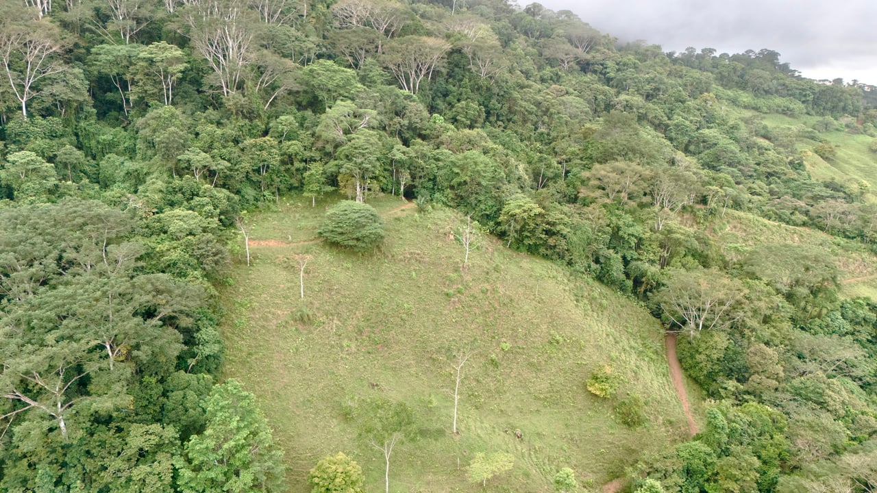 Over 123 Acres Farm in San Josecito De Morete, in Uvita Mountains