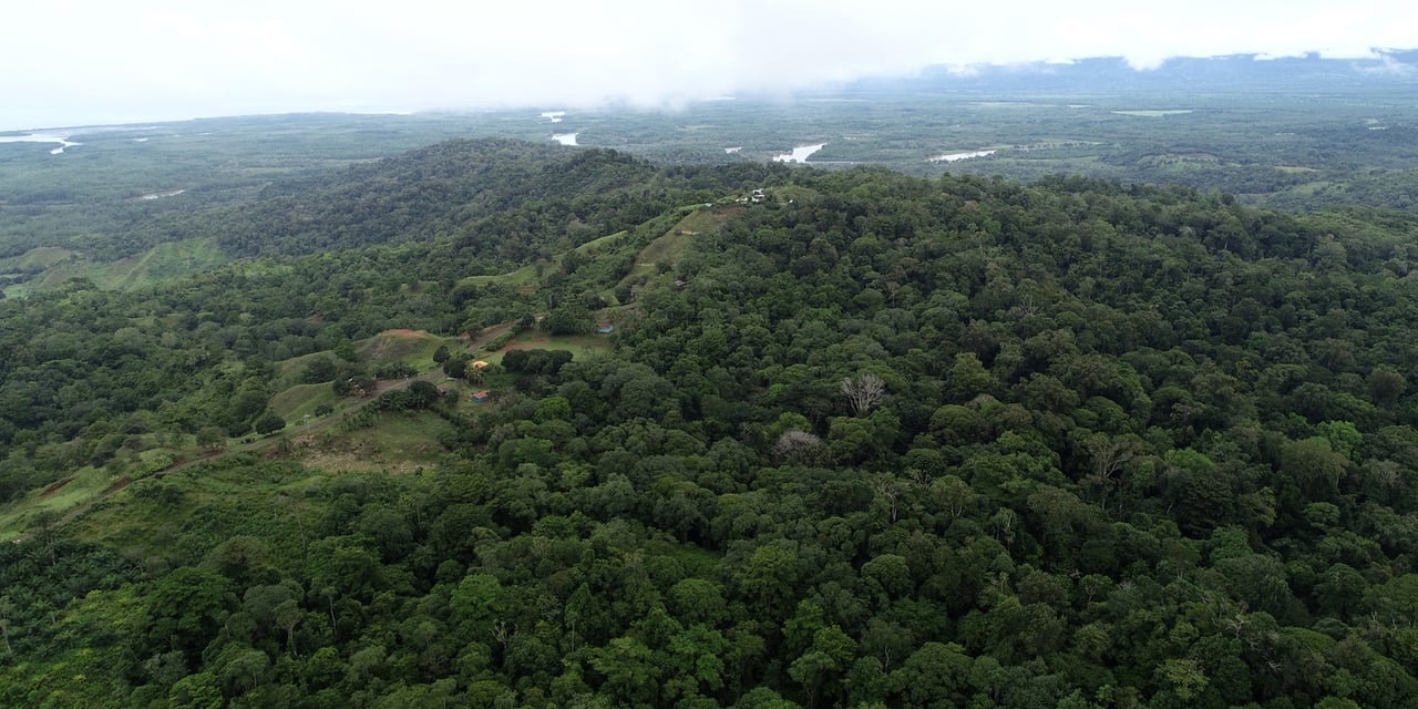 Rainforest Conservation Pasture Land, Osa, Puntarenas