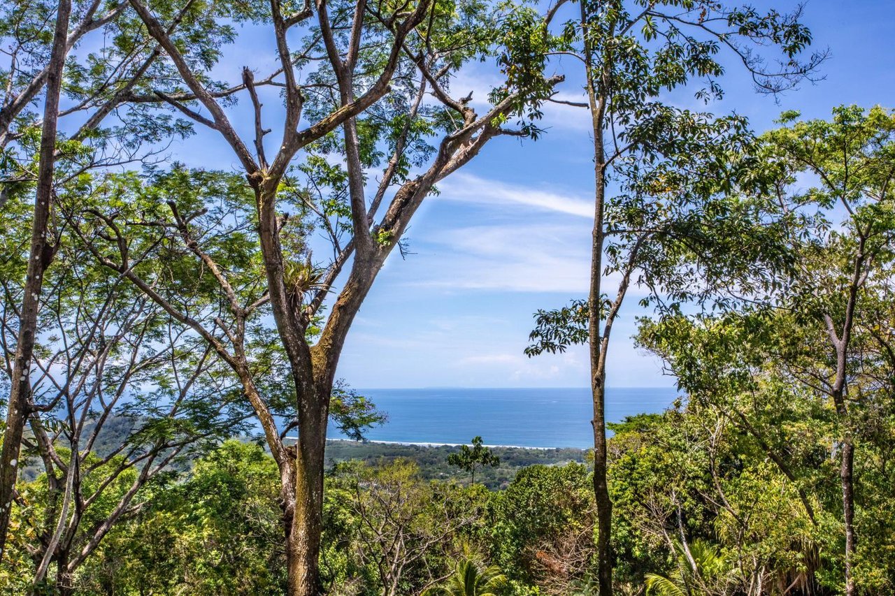 Incredible 7,000 Ft2 Ocean View Home With 200 Acre Reserve!
