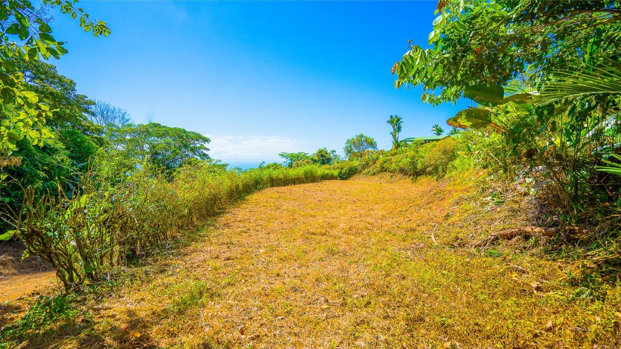 Flat Buildable Ocean View Lot, Ojochal, Puntarenas