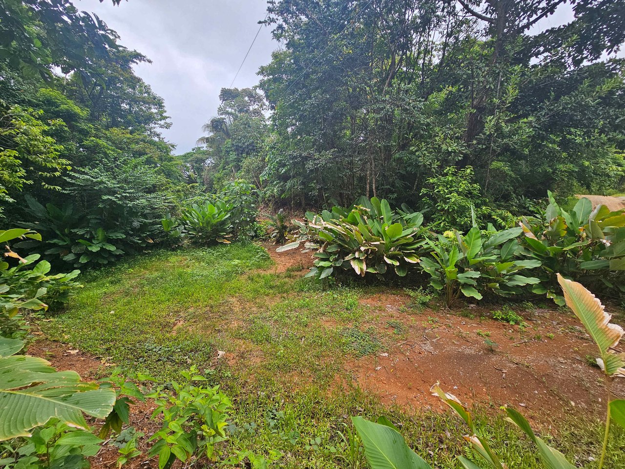 Discover Your Dream in Uvita's Prime Real Estate