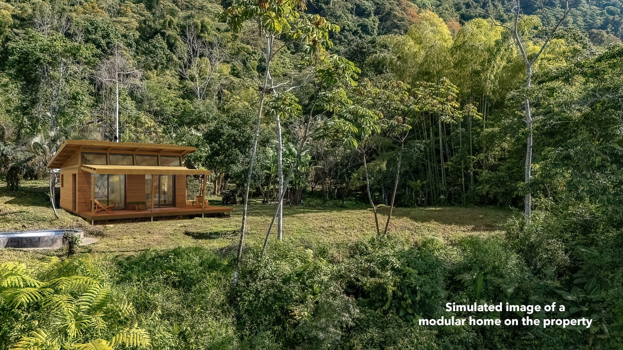 Off Grid Farm  at the top of the Uvita mountain range