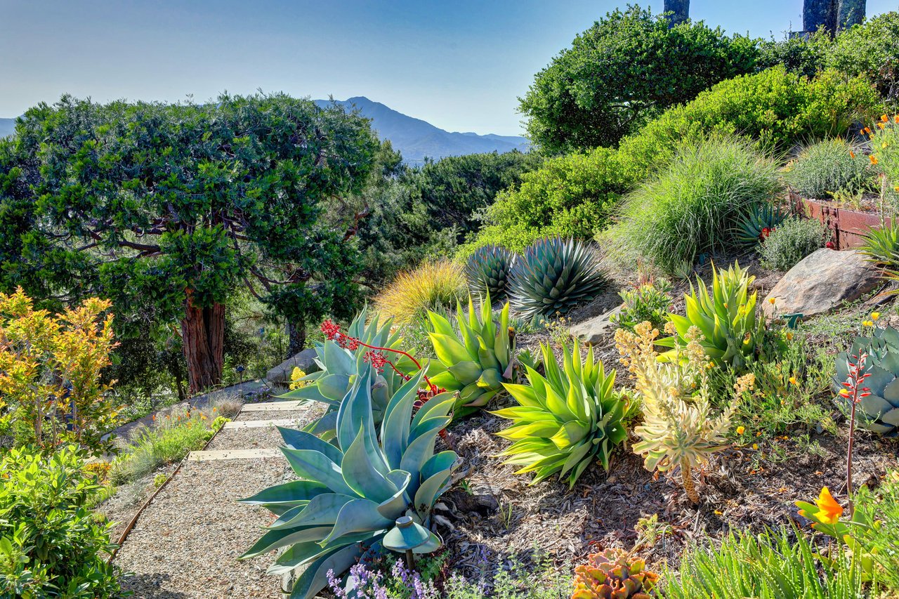 Extraordinary Tiburon Sanctuary