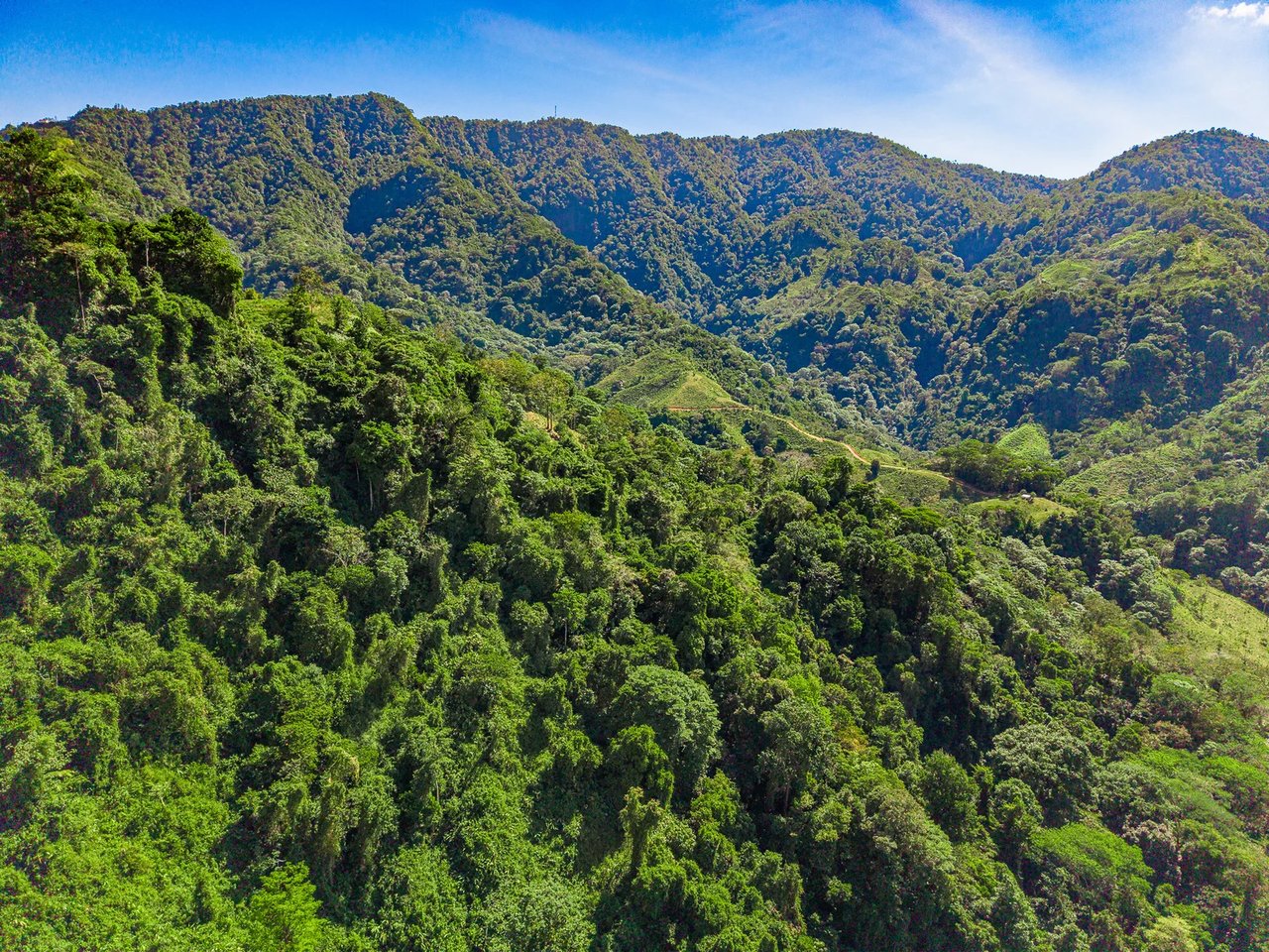 Luxury Waterfall Farm, Uvita, Puntarenas