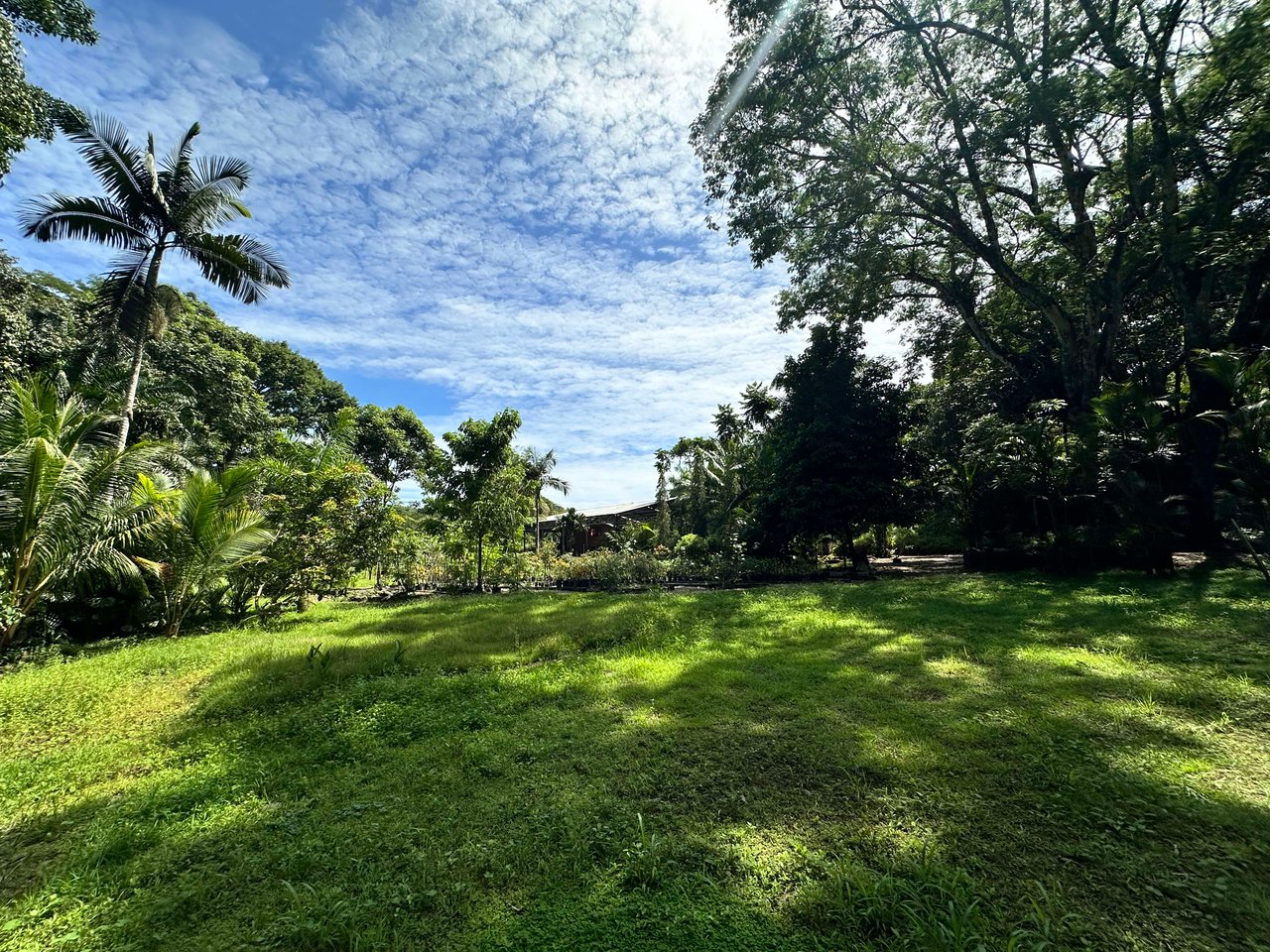 "Commercial Gem at Ojochal"