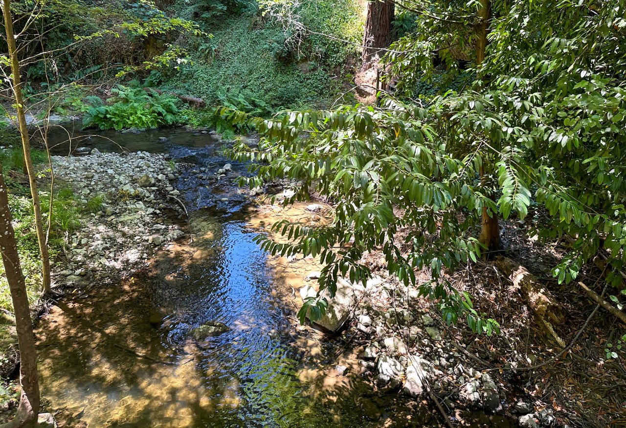 River View home with Modern Amenities