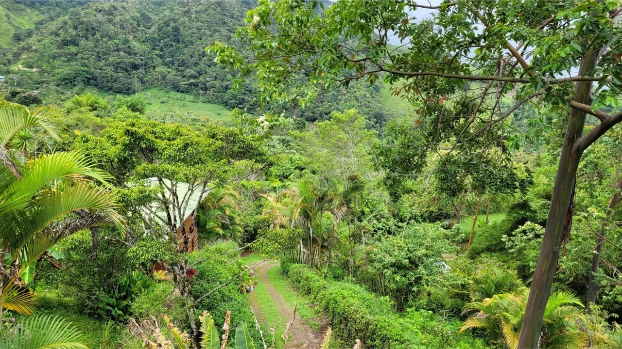 Mountain Retreat with Guest Cabin, Perez Zeledon, San Jose