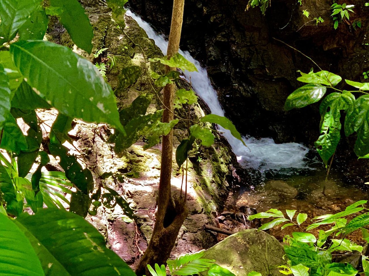 Triple Waterfall Ocean View Land, Dominical, Puntarenas