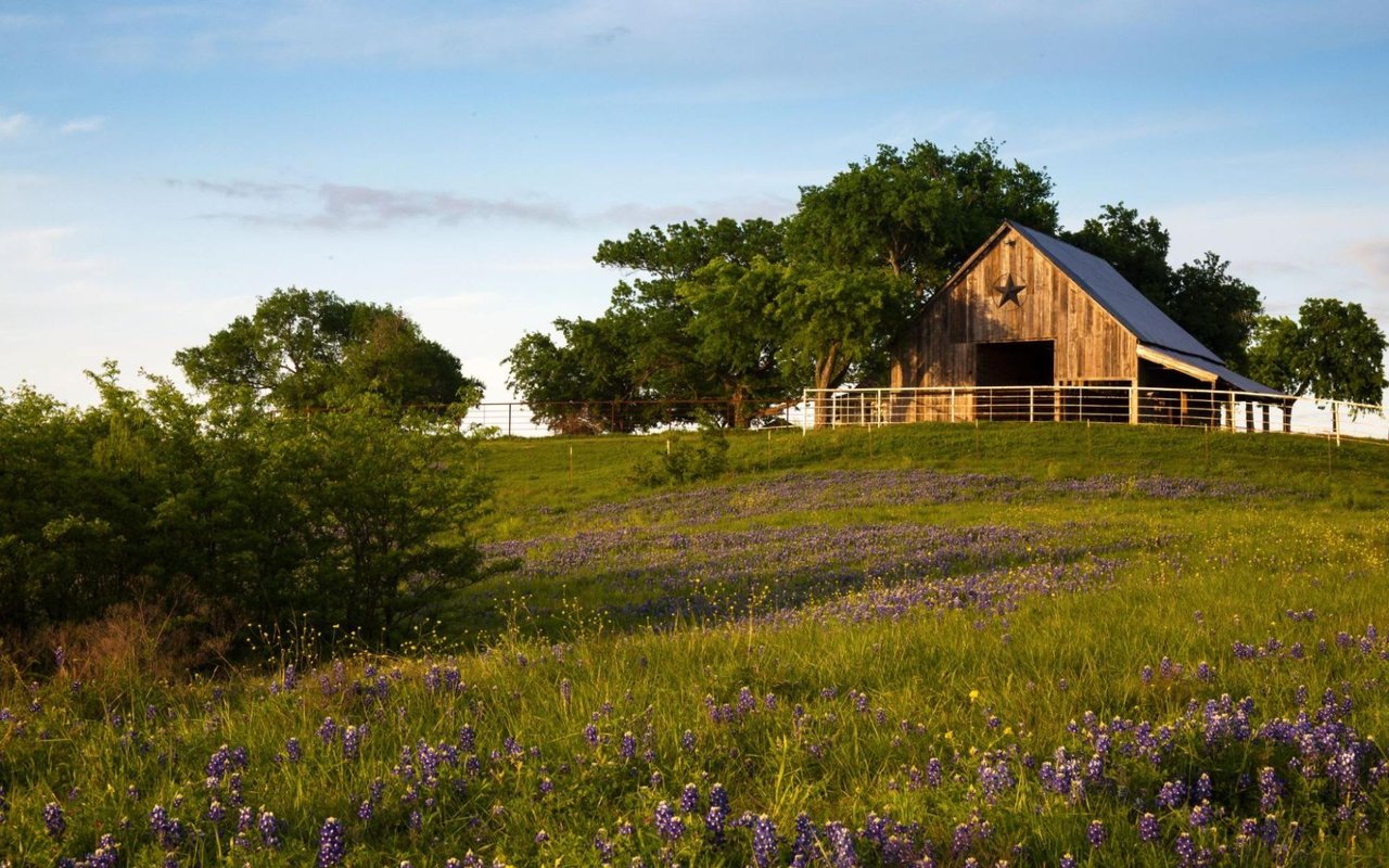 Owning a Texas Ranch: Lifestyle vs. Investment