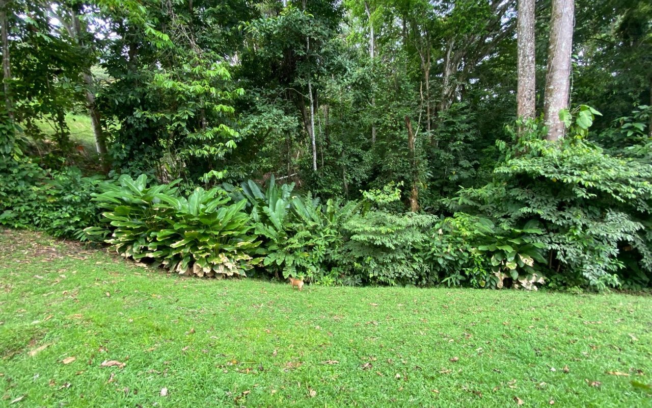 Titled Beachfront Development Land, Uvita, Puntarenas