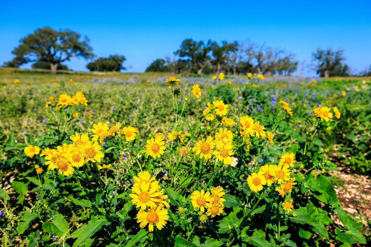 481 Living Water Ranch Rd