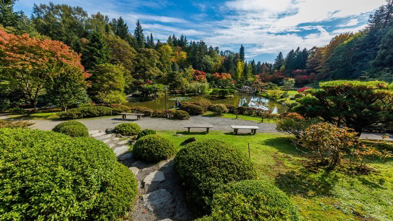 Central Seattle