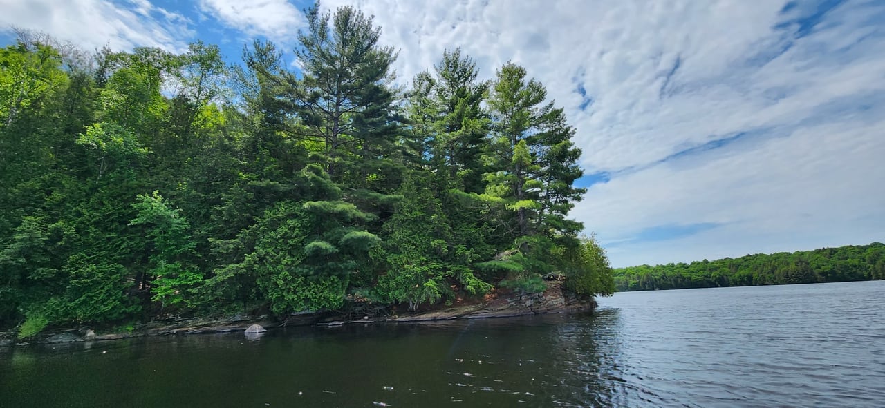 Fern Glen Road Round Lake 