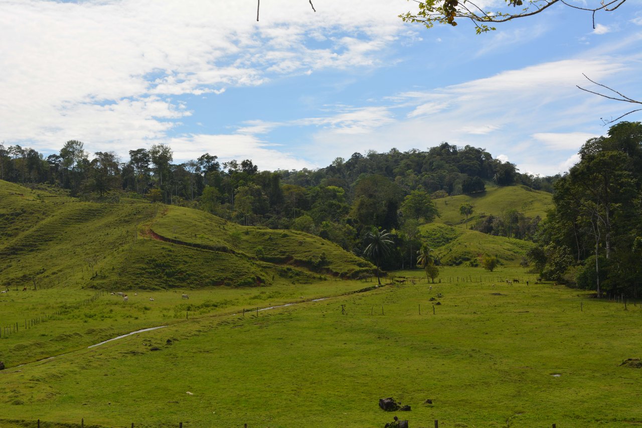 Osa Peninsula Magic 