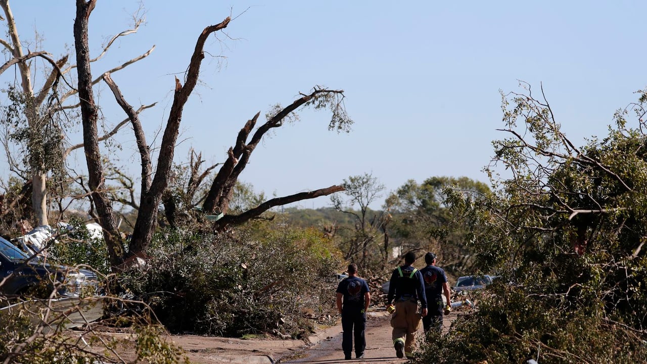 3,500 Trees to Be Planted in North Texas, Replacing Those Lost or Damaged by Oct. 20 Tornadoes