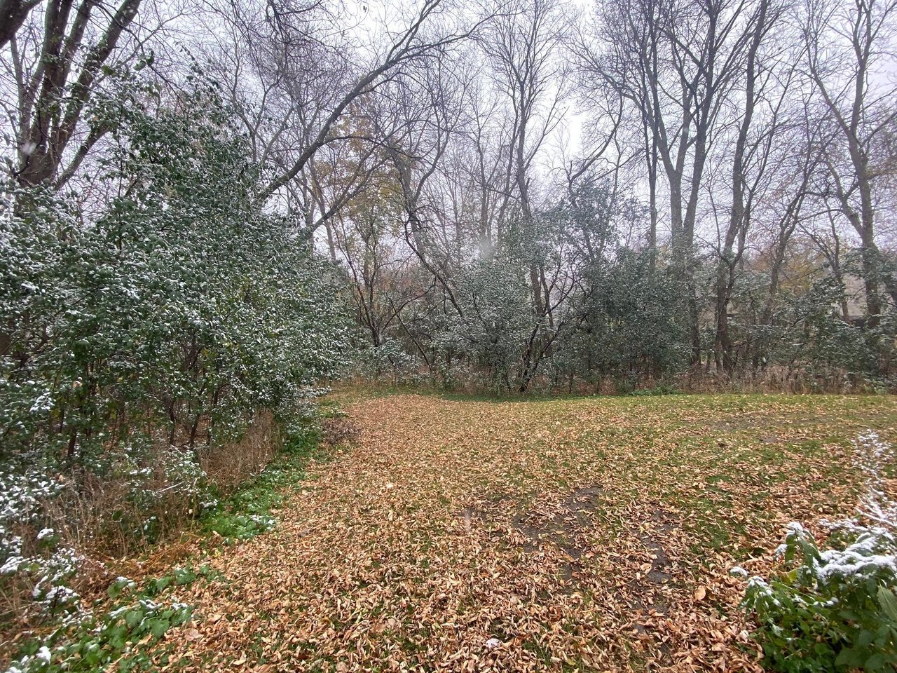 4959 W End Lane | Minnetonka