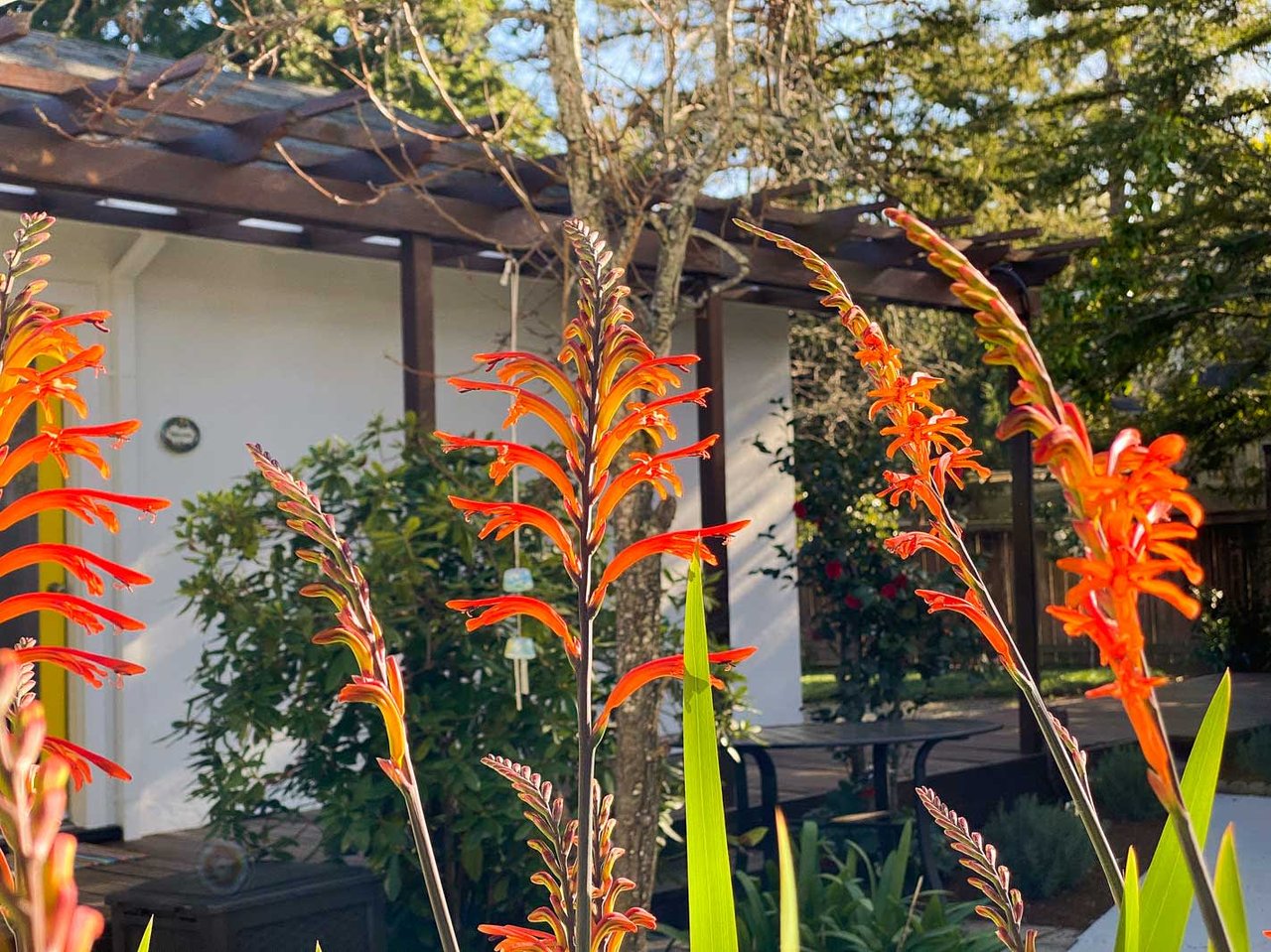 20 Suffield Avenue, San Anselmo