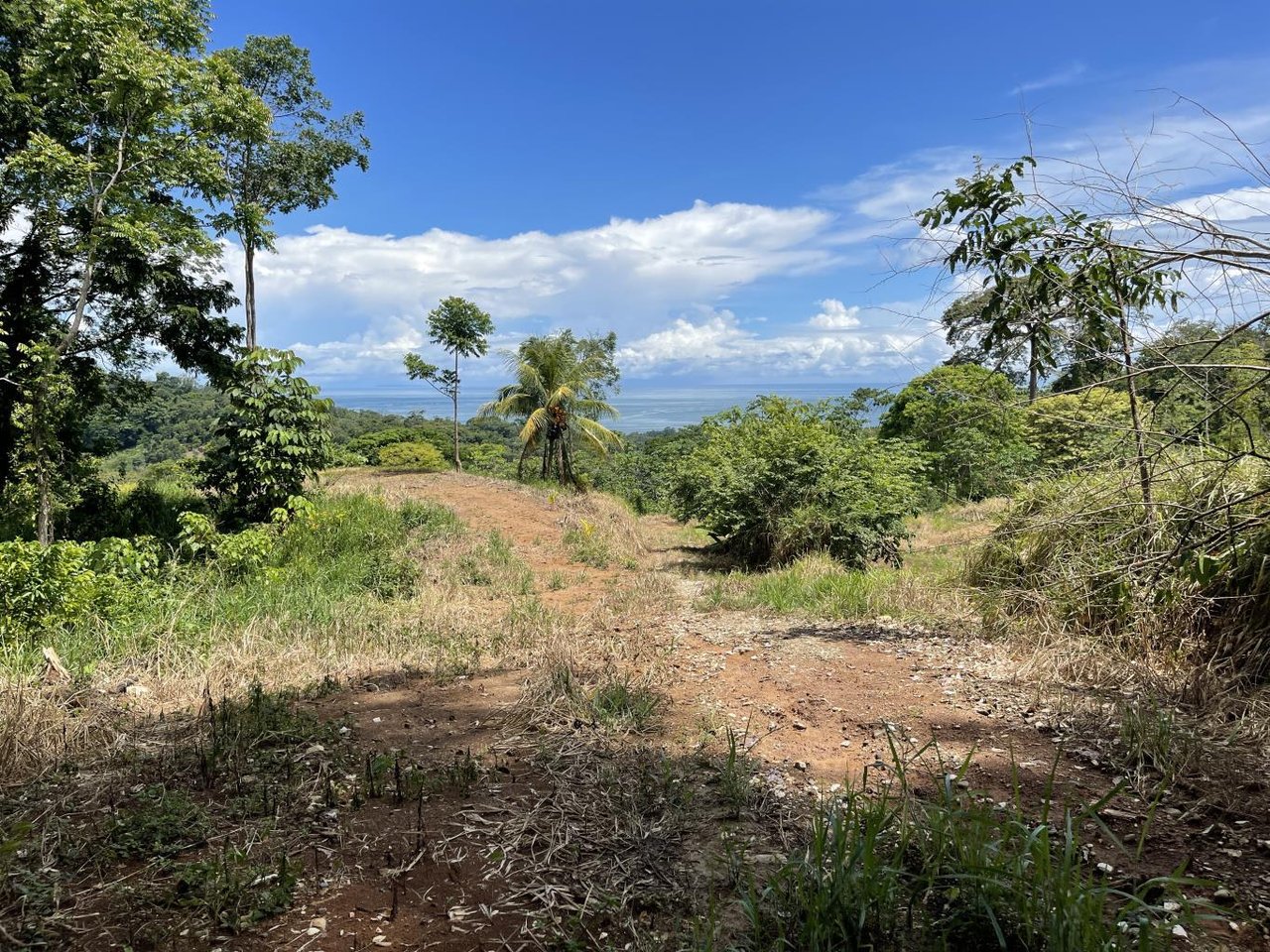 15.9 ACRES – Ocean View Development Property With Legal Water, Public Road, 5 Min From Highway!