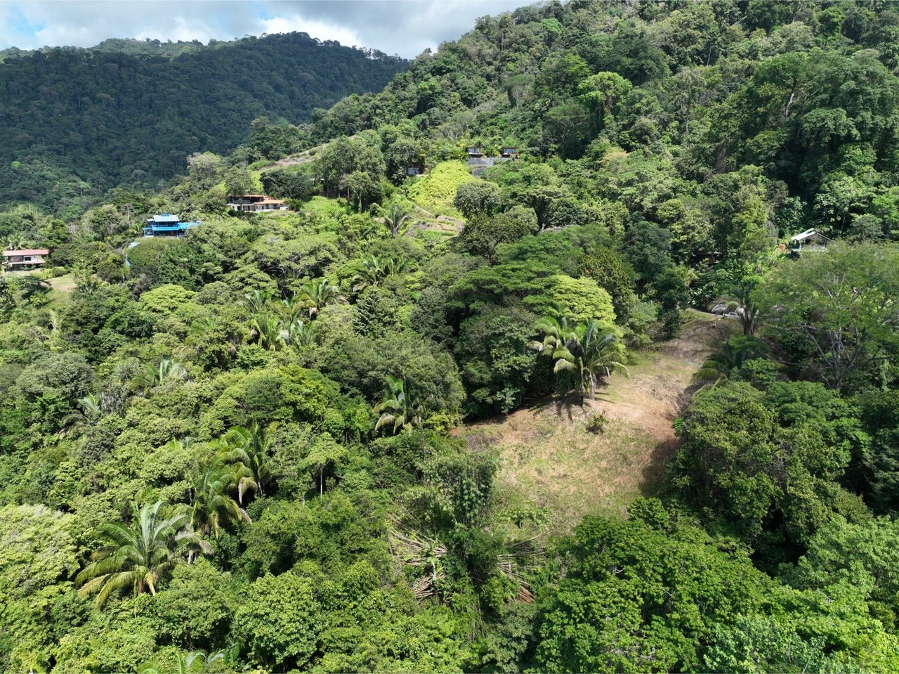 Whale Tail View Building Land, Uvita, Puntarenas