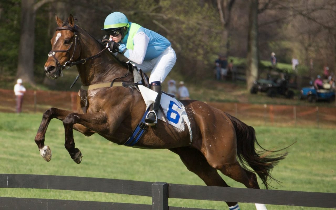 Coming April 20th: the 117th Running of the Grand National Steeplechase!