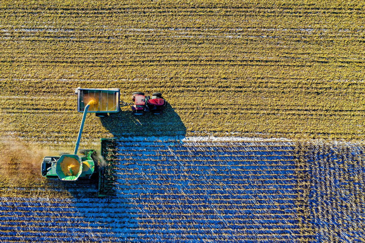 Wanting to Grow Corn in North Carolina?