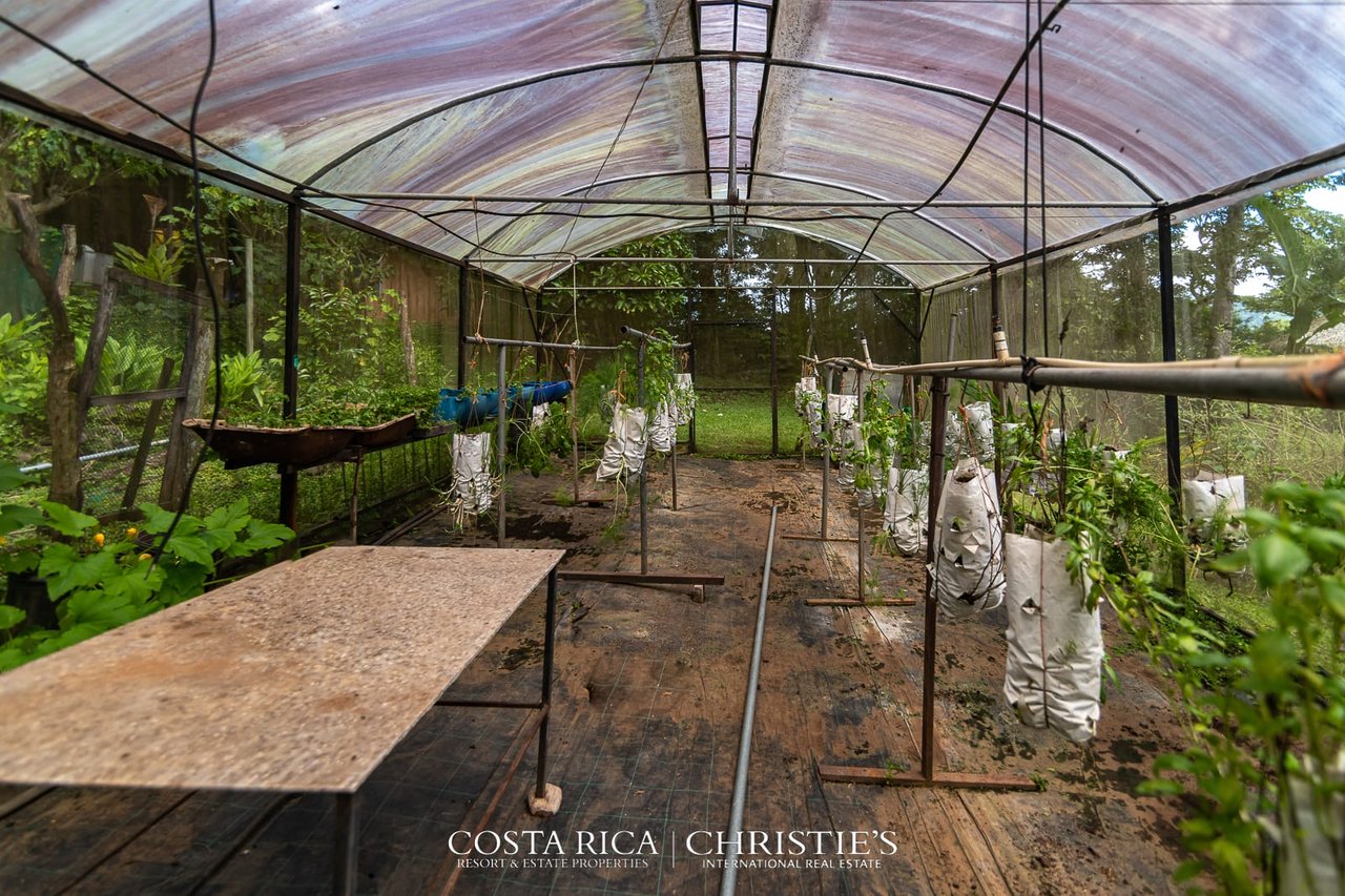 Eco-retreat and Wellness Center Amatierra