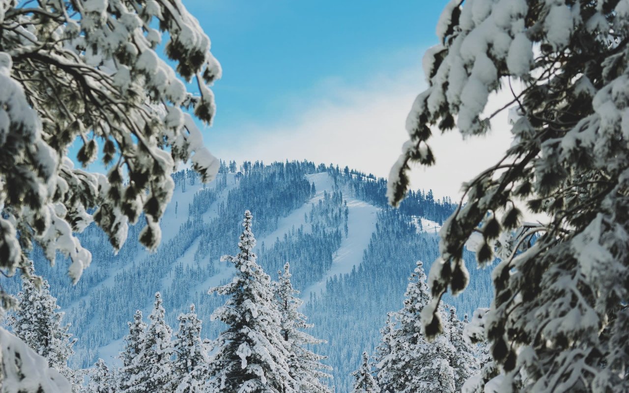 Welcome to March in the Mountains!