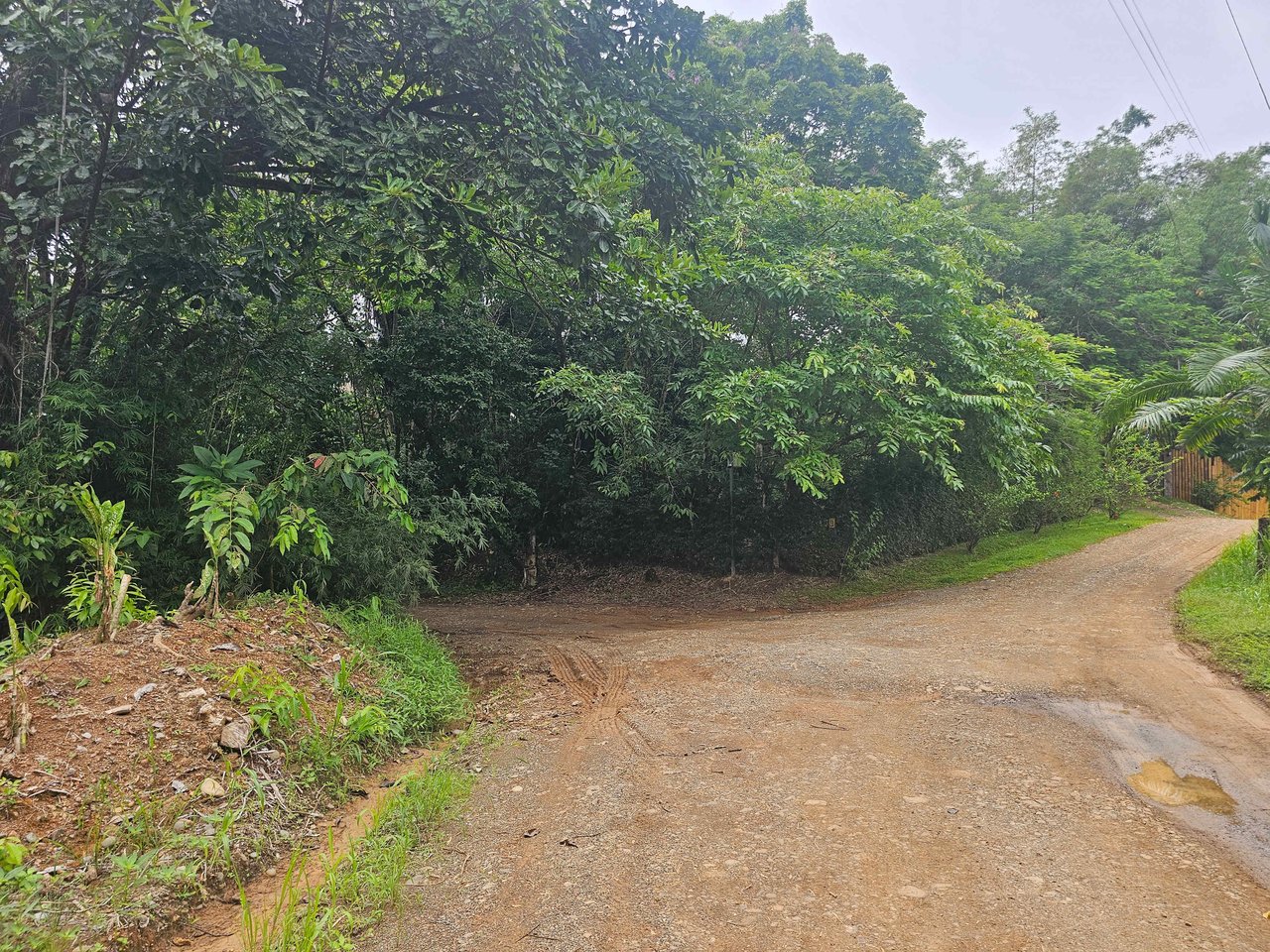 Discover Your Dream in Uvita's Prime Real Estate