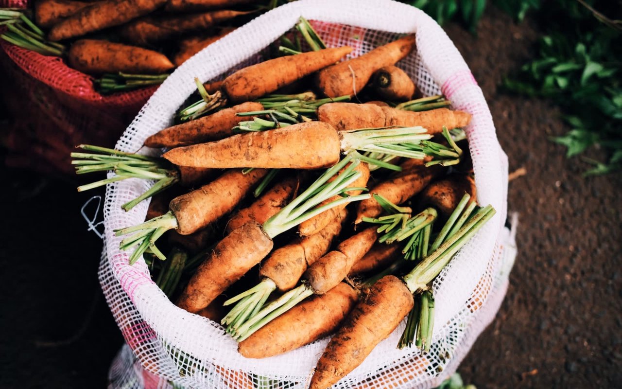 Nature’s Bounty: Farm-to-Table Dining Experiences in Oakville