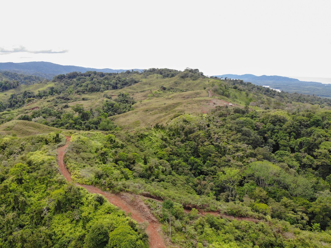 Sierpe Sunset and Jungle Views, 10 Acre Property, OSA!