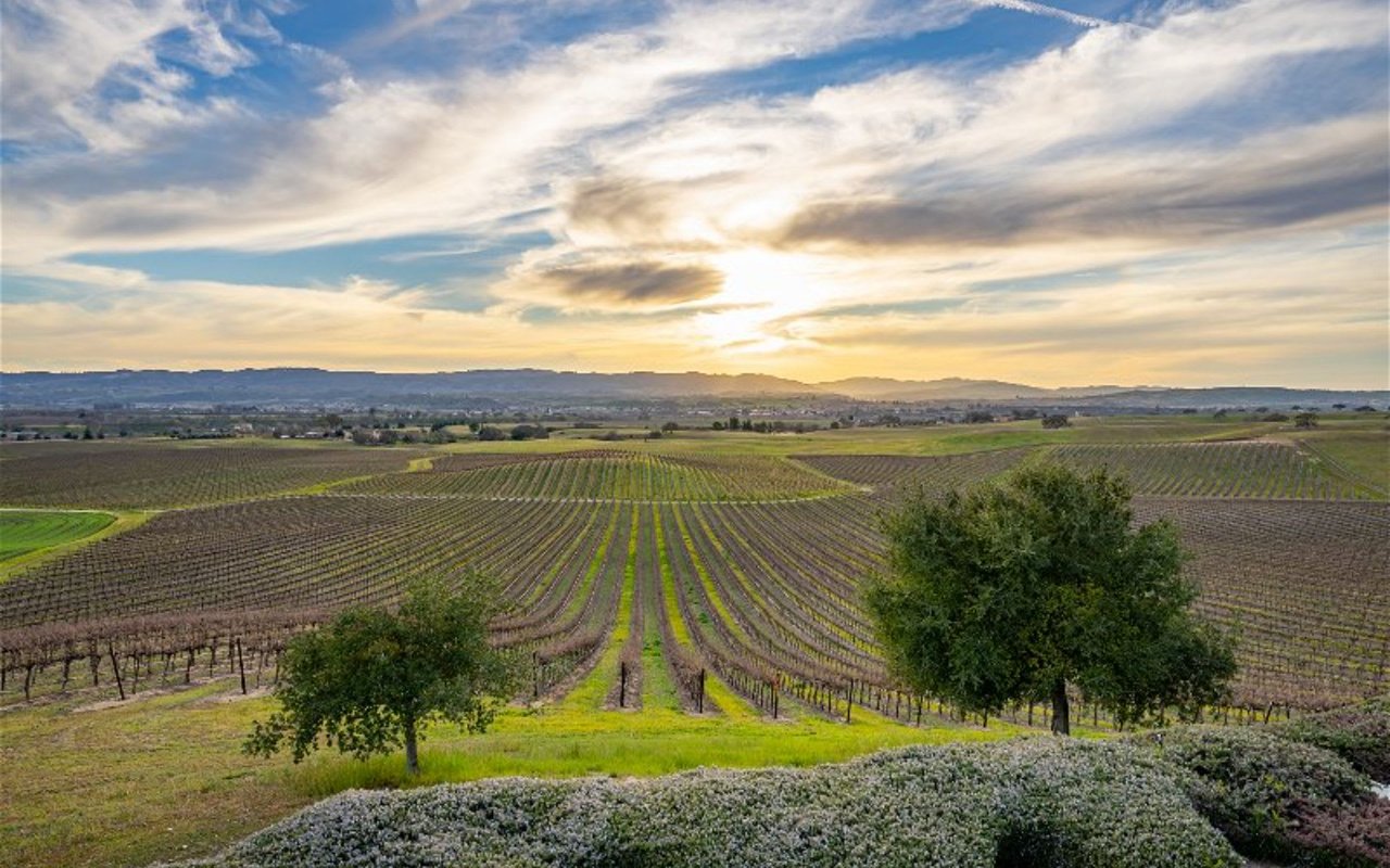5 Secrets to Successful Vineyard & Winery Transactions