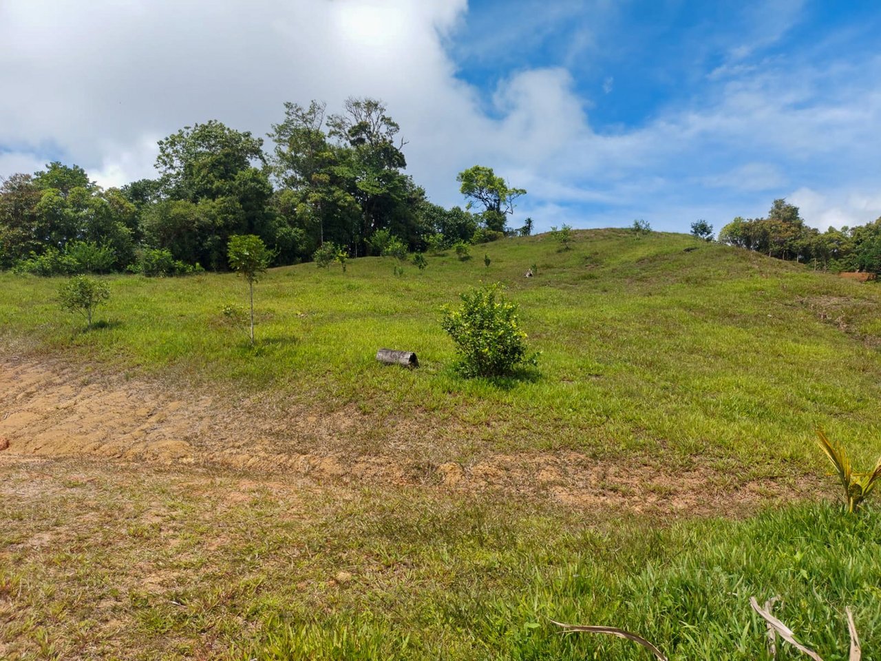 Ocean, Mountain and waterfall View Lot