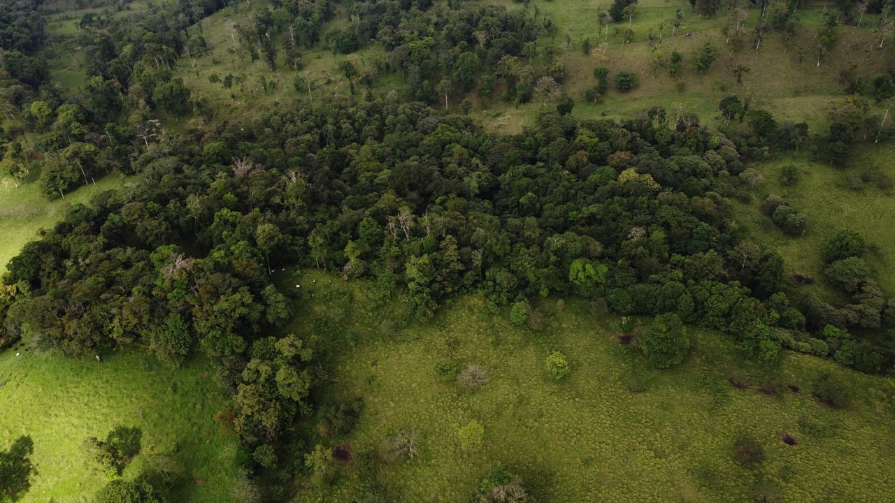 Finca Zapote | The vast 11-hectare property of this paradise is open for exploration and is awaiting your discovery.