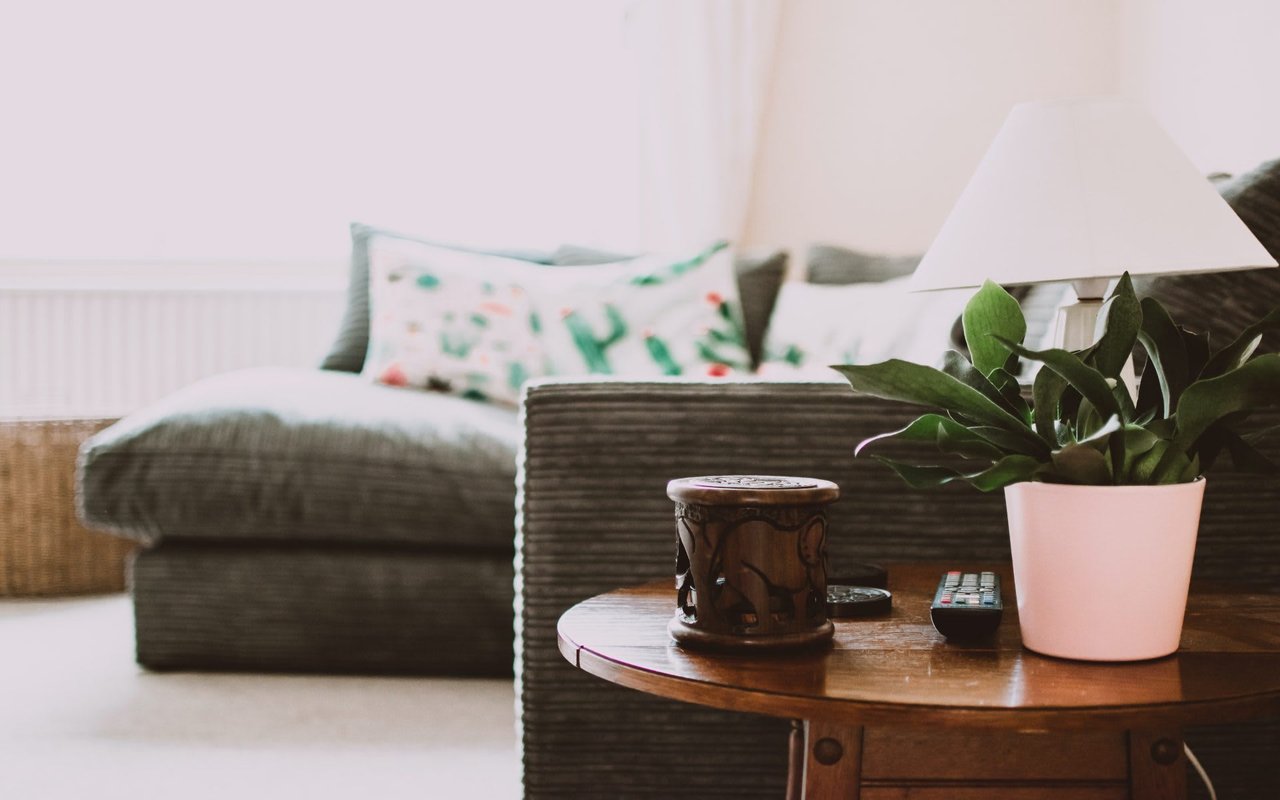 Indoor Plants: Find the Perfect Fit for Your Home