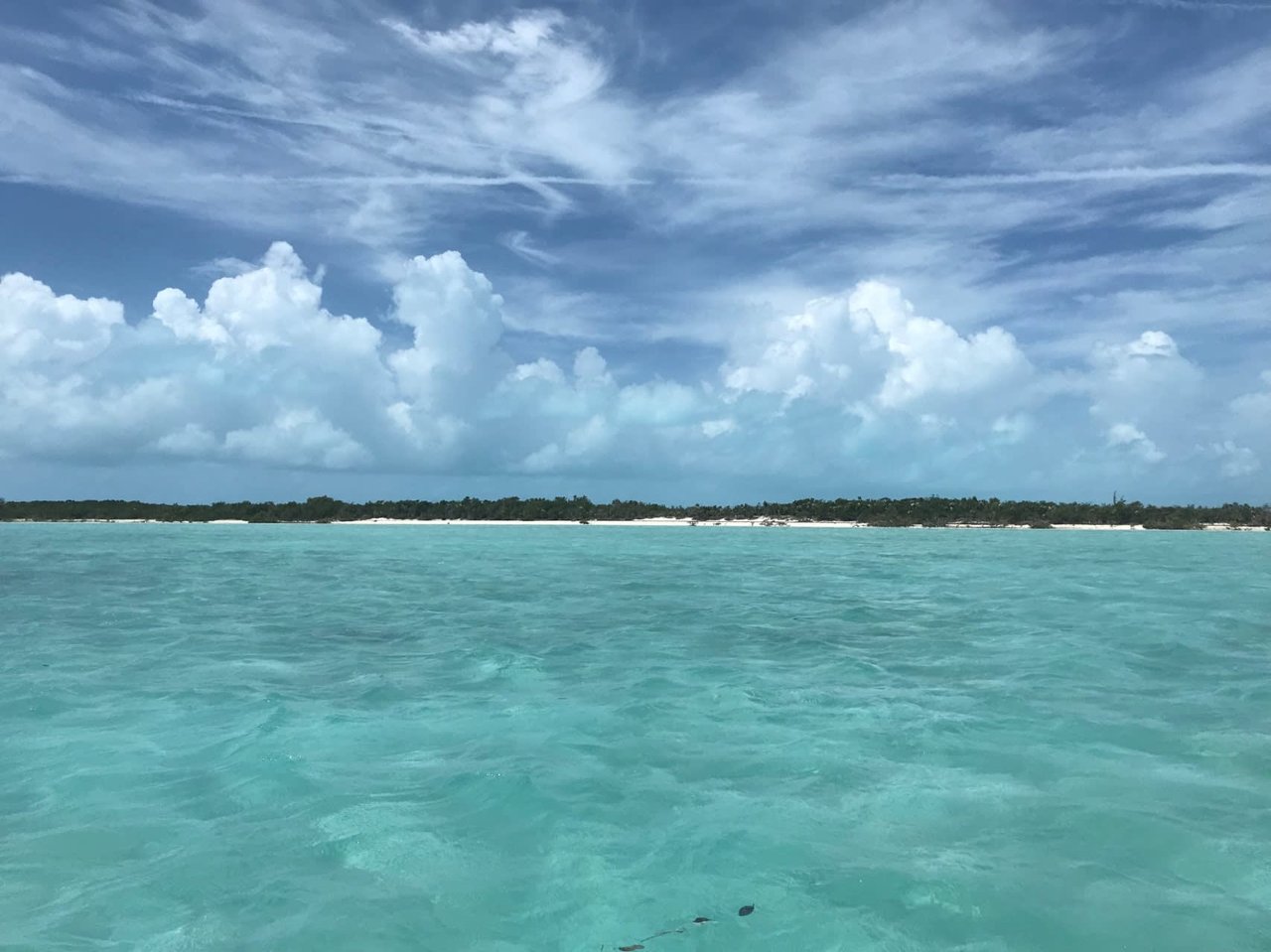 Big Bullard Cay Southwest of Great Exuma Exuma Cays