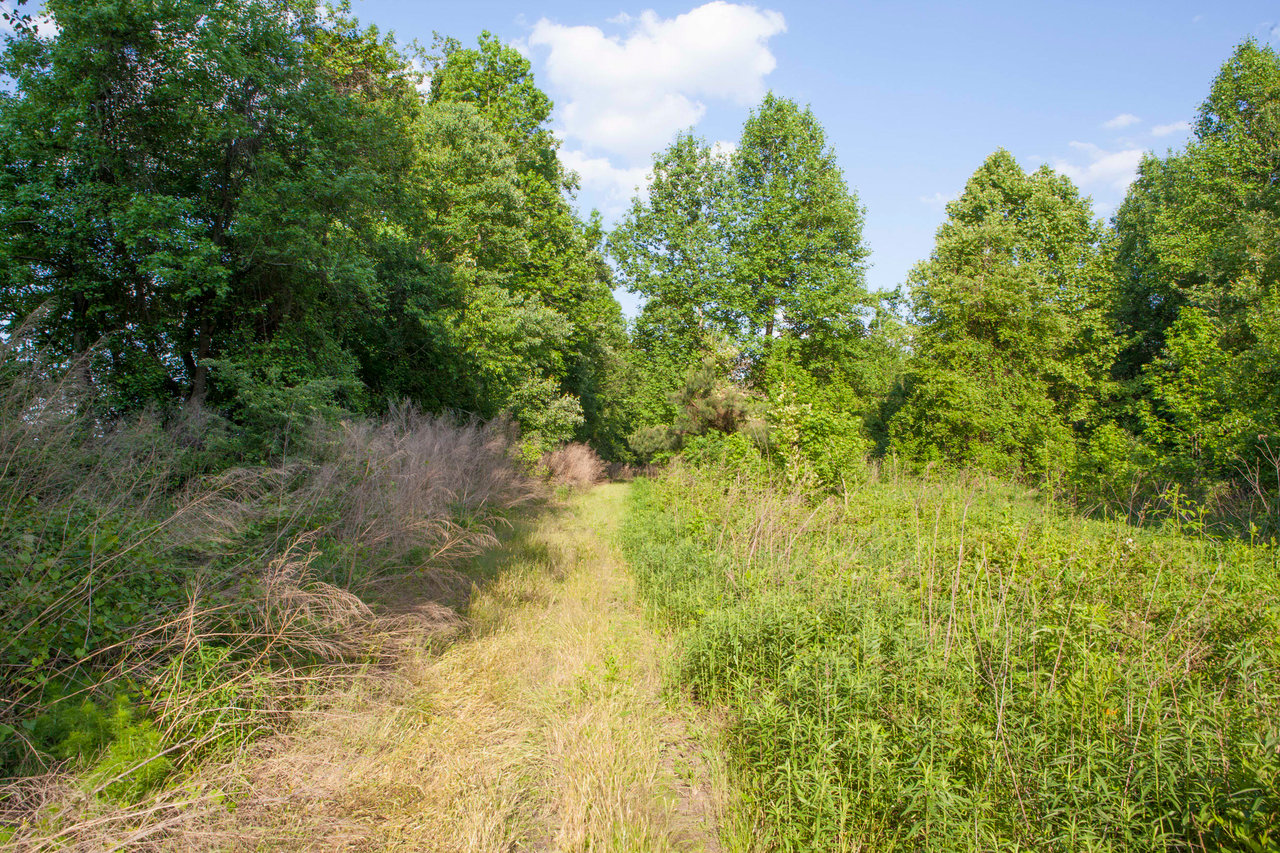 Edgecombe County, NC Land For Sale - 354 Acres