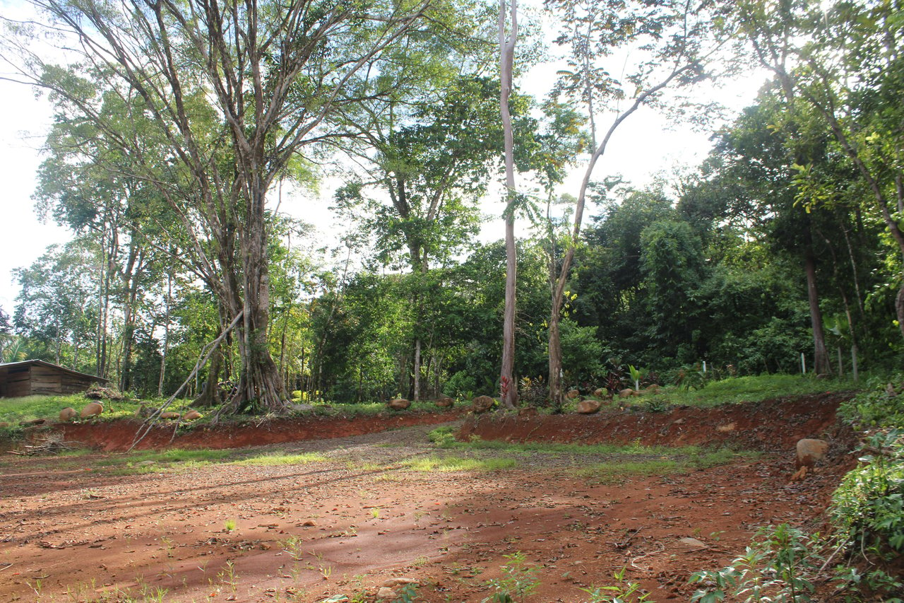 River Frontage Lot close to Uvita