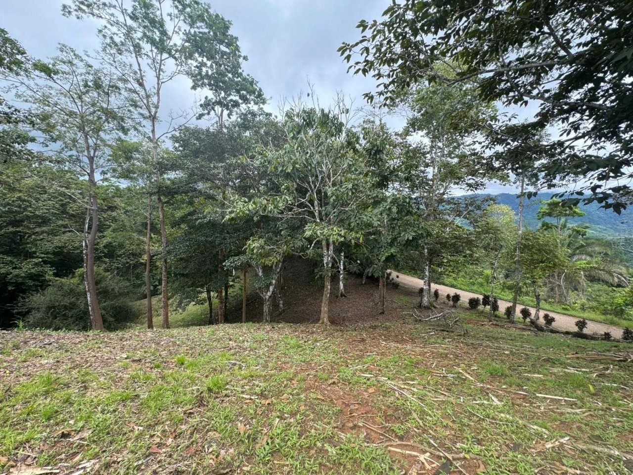 Private Ocean View Development Lot, Ojochal, Puntarenas