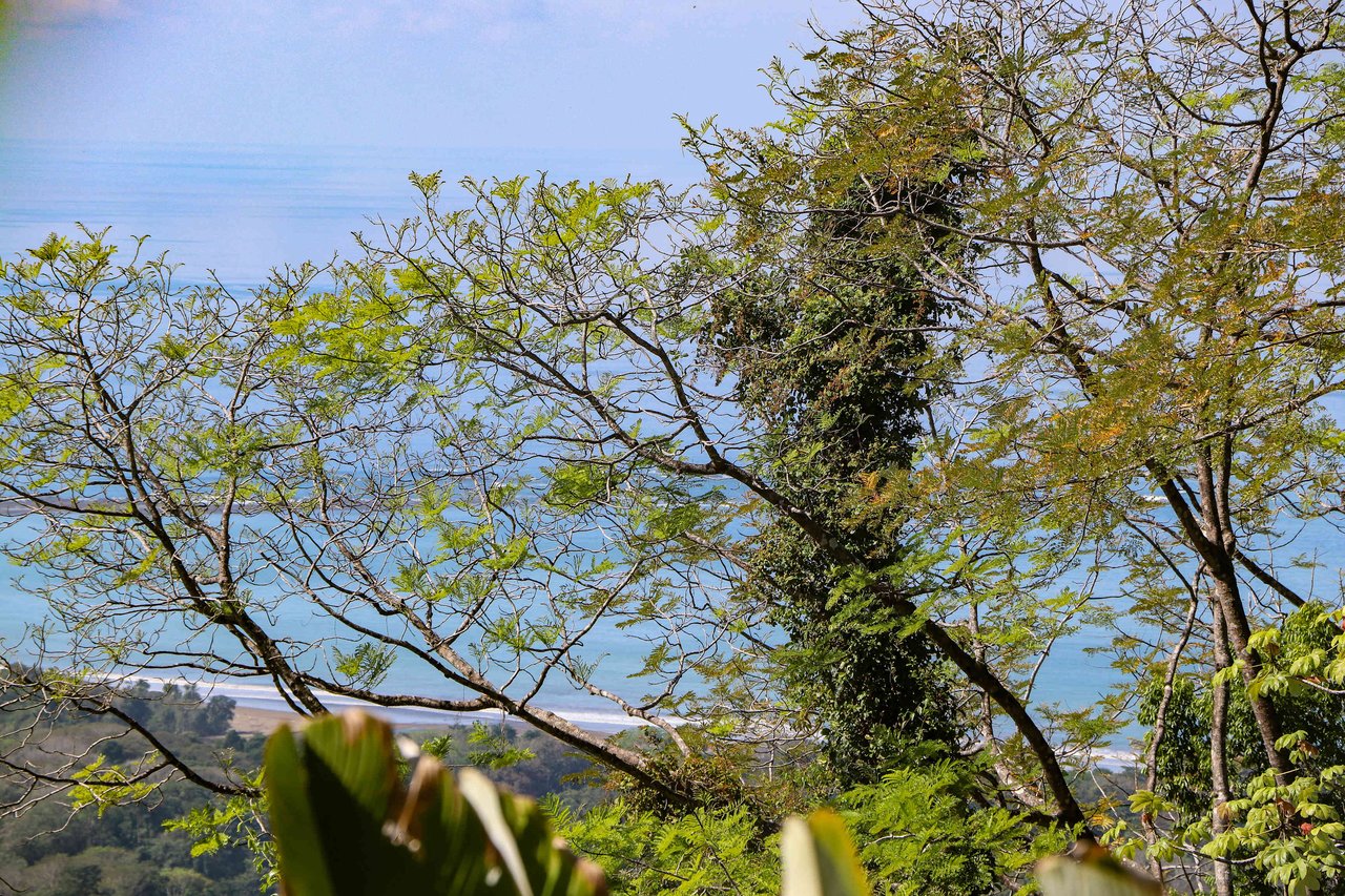 A prepared, 1.5 Acres jungle immersed lot with spectacular views of the Whale’s Tail. 