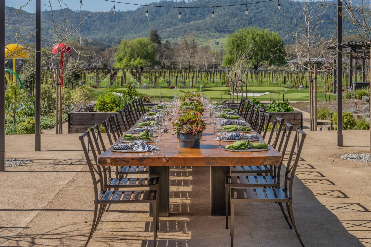 Yountville Vineyard View, Yountville