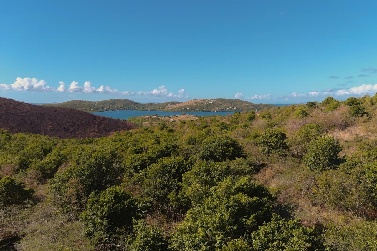 SOLD!!!!!!CULEBRA BETTER THAN EVER, #00