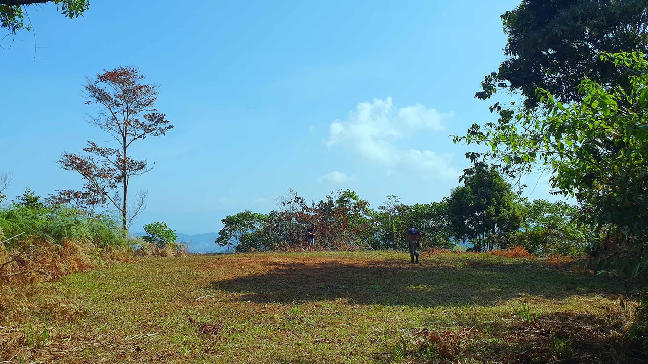 Conservation and Development Land for Sale